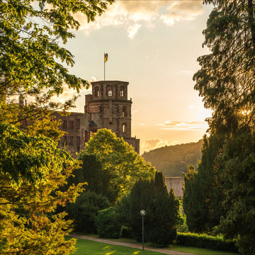 Heidelberg Poster Schloss im Grünen