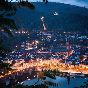 Heidelberg Poster Blick vom Philosophenweg